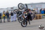 Xajo Showtime 2026